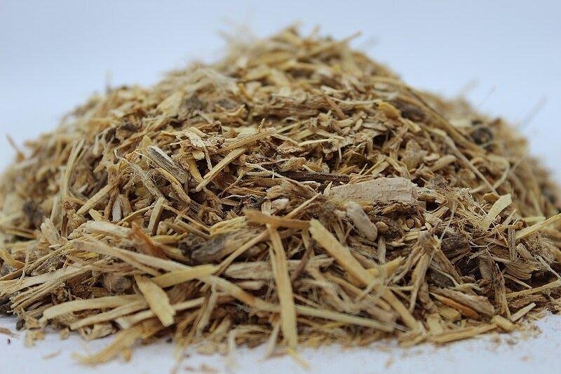 Ангелика – Пищялка корен (Angelica archangelica)