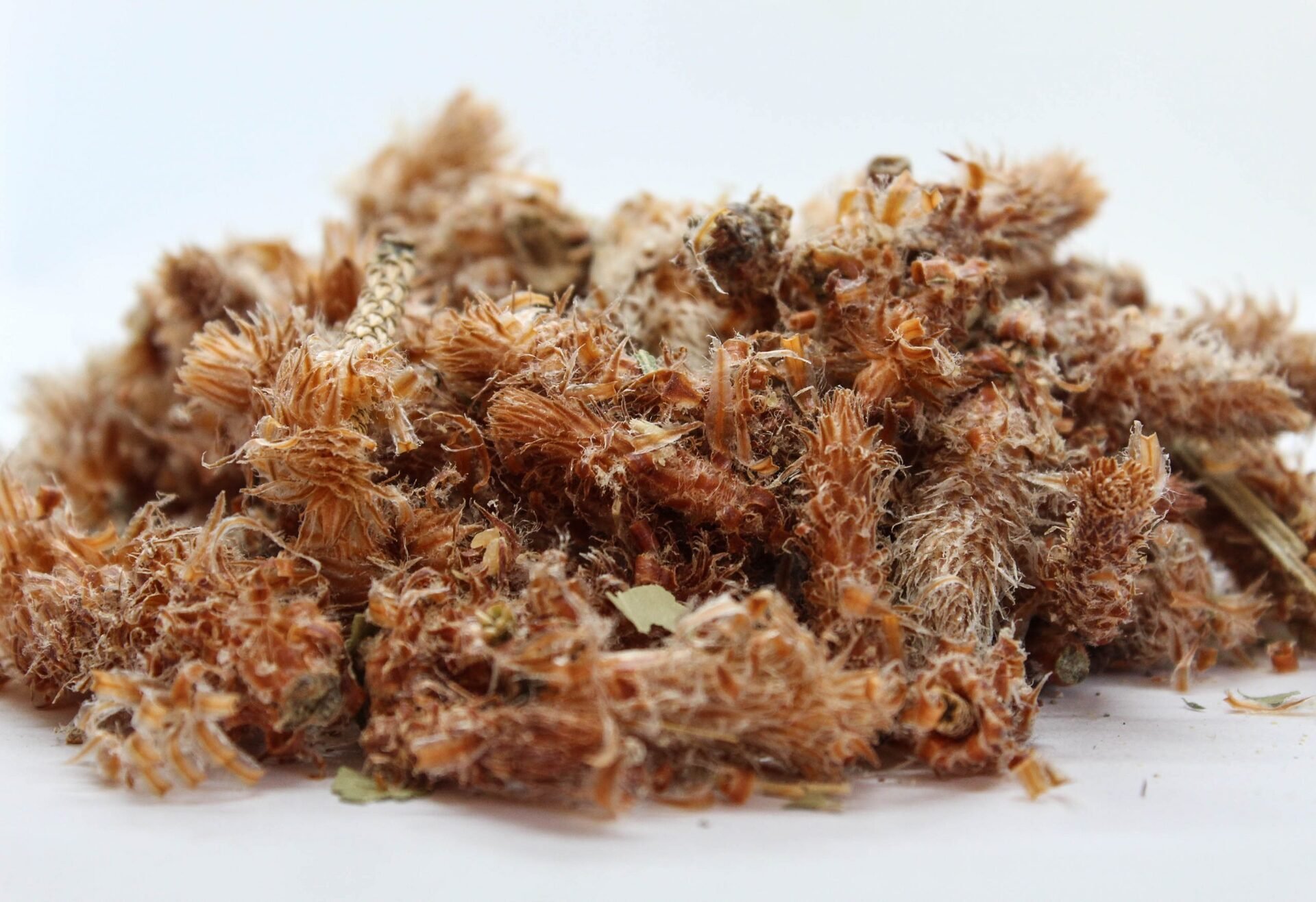 Борови връхчета (Pinus sylvestris) | цели за чай