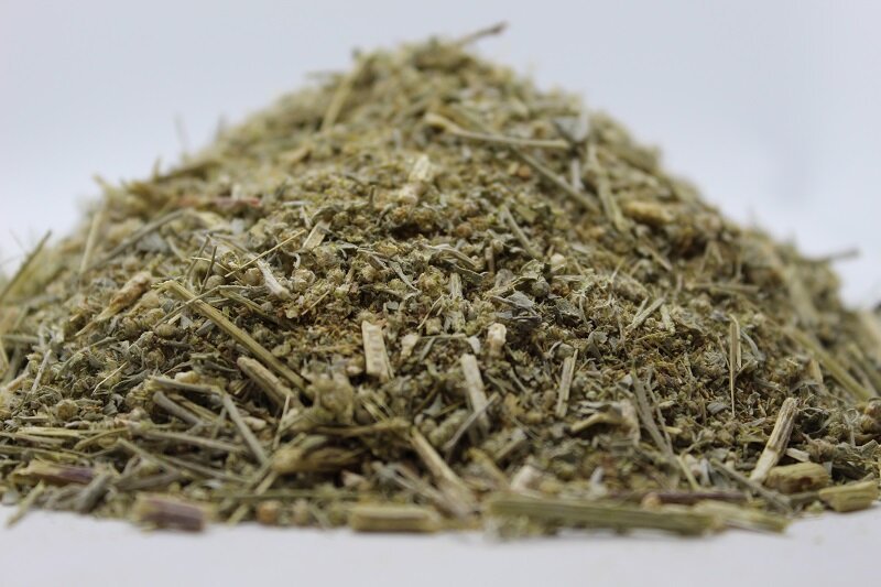 Бял пелин (Artemisia absinthium) стрък