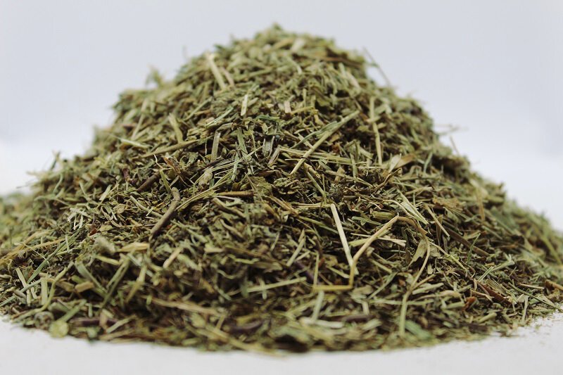 Великденче (Veronica officinalis) стрък