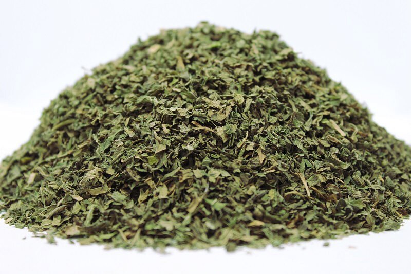 Водна мента (Mentha aquatica L.) стрък