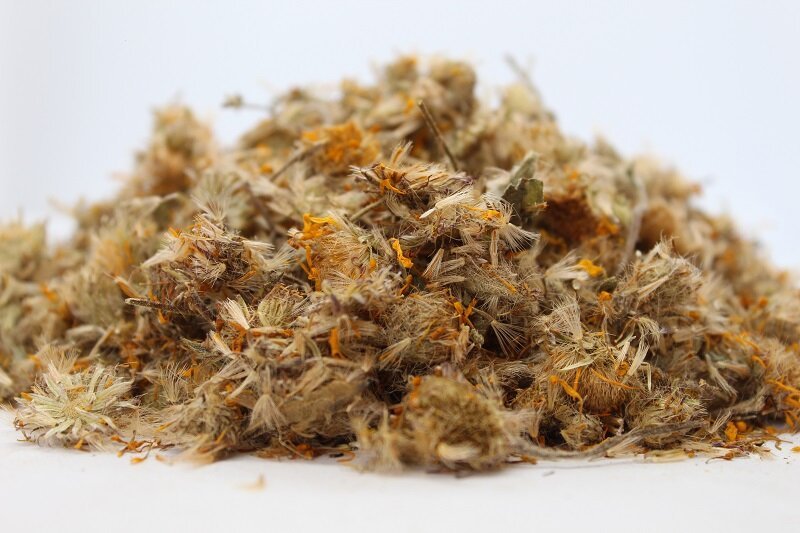 Арника (Arnica mexicana) цвят