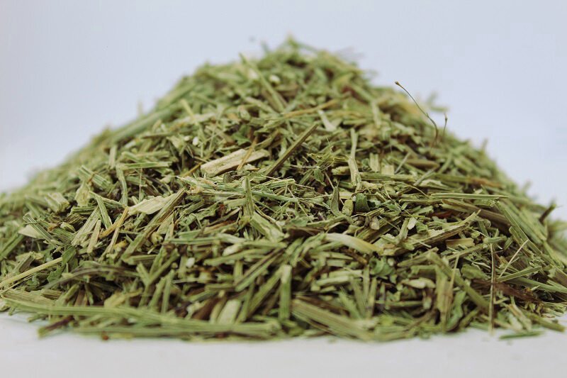 Върбинка (Verbena officinalis) стрък