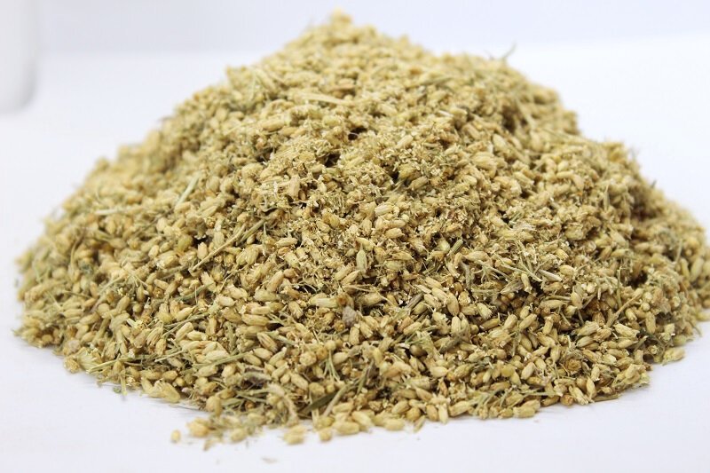 Бял равнец (Achillea millefolium) цвят
