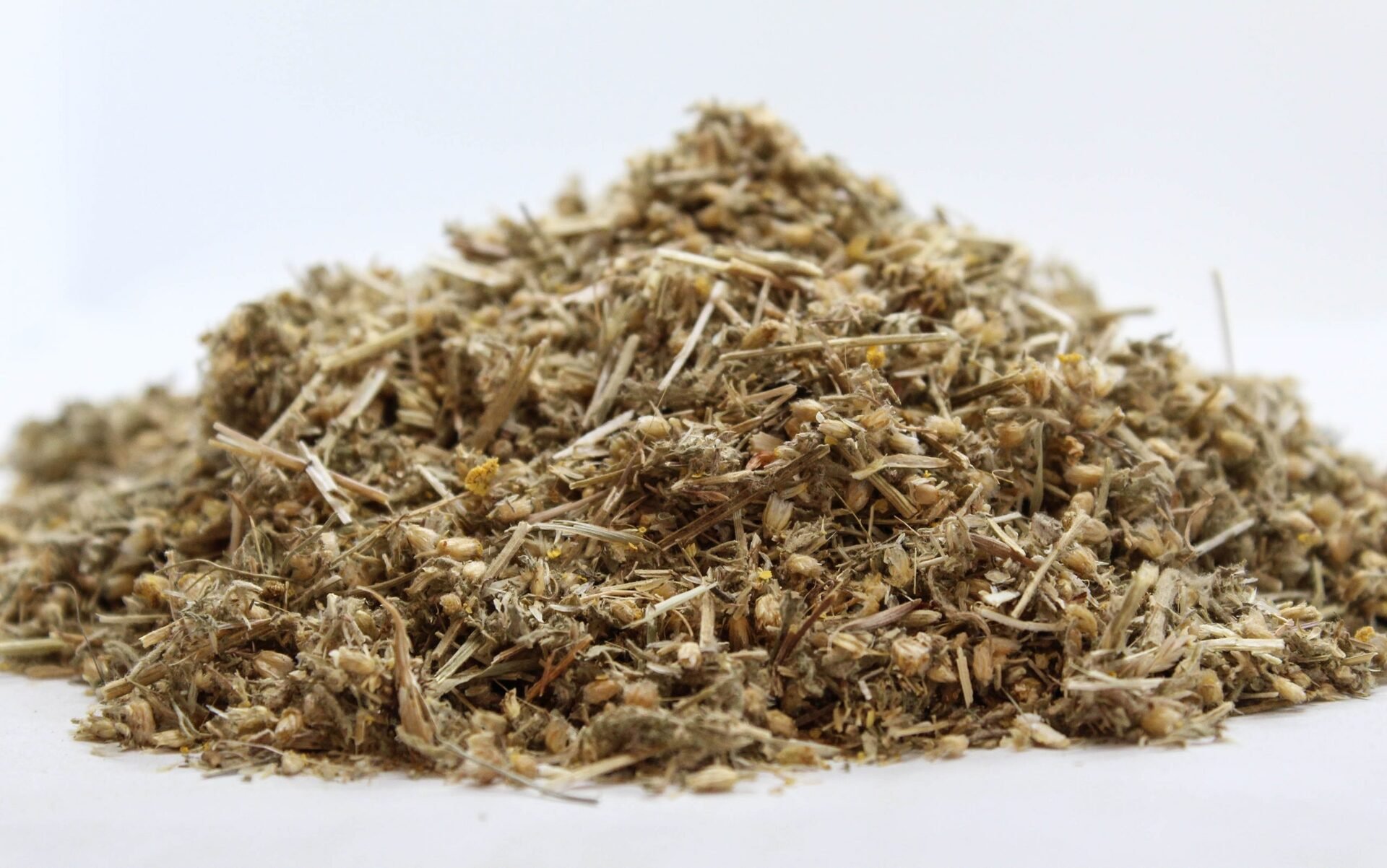 Жълт равнец (Achillea clypeolata) цвят и стрък