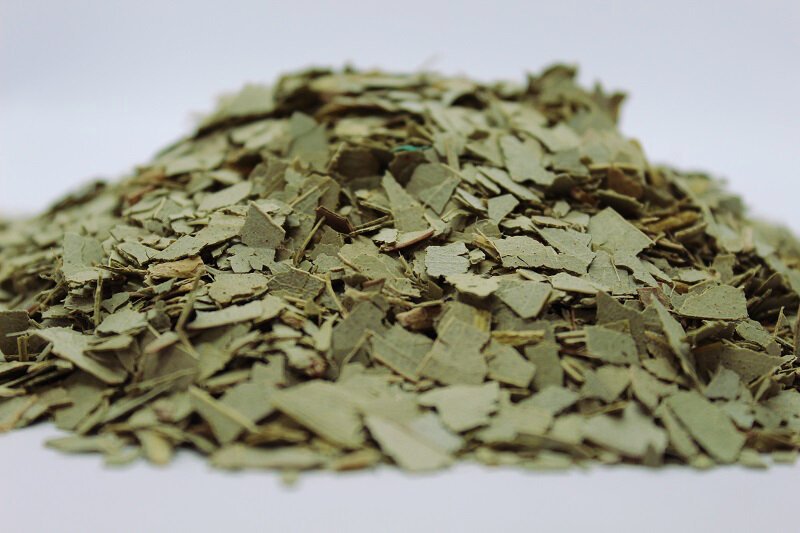Евкалипт (Eucalyptus globulus) листа