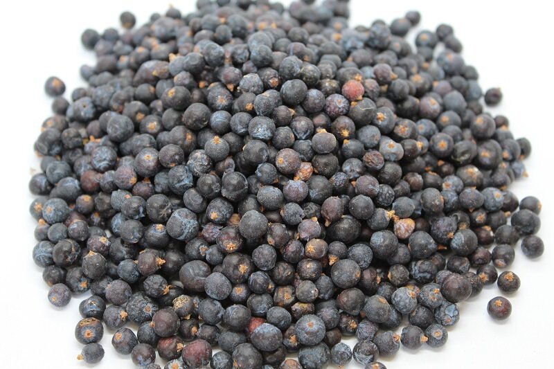 Синя хвойна (Juniperis communis) плод