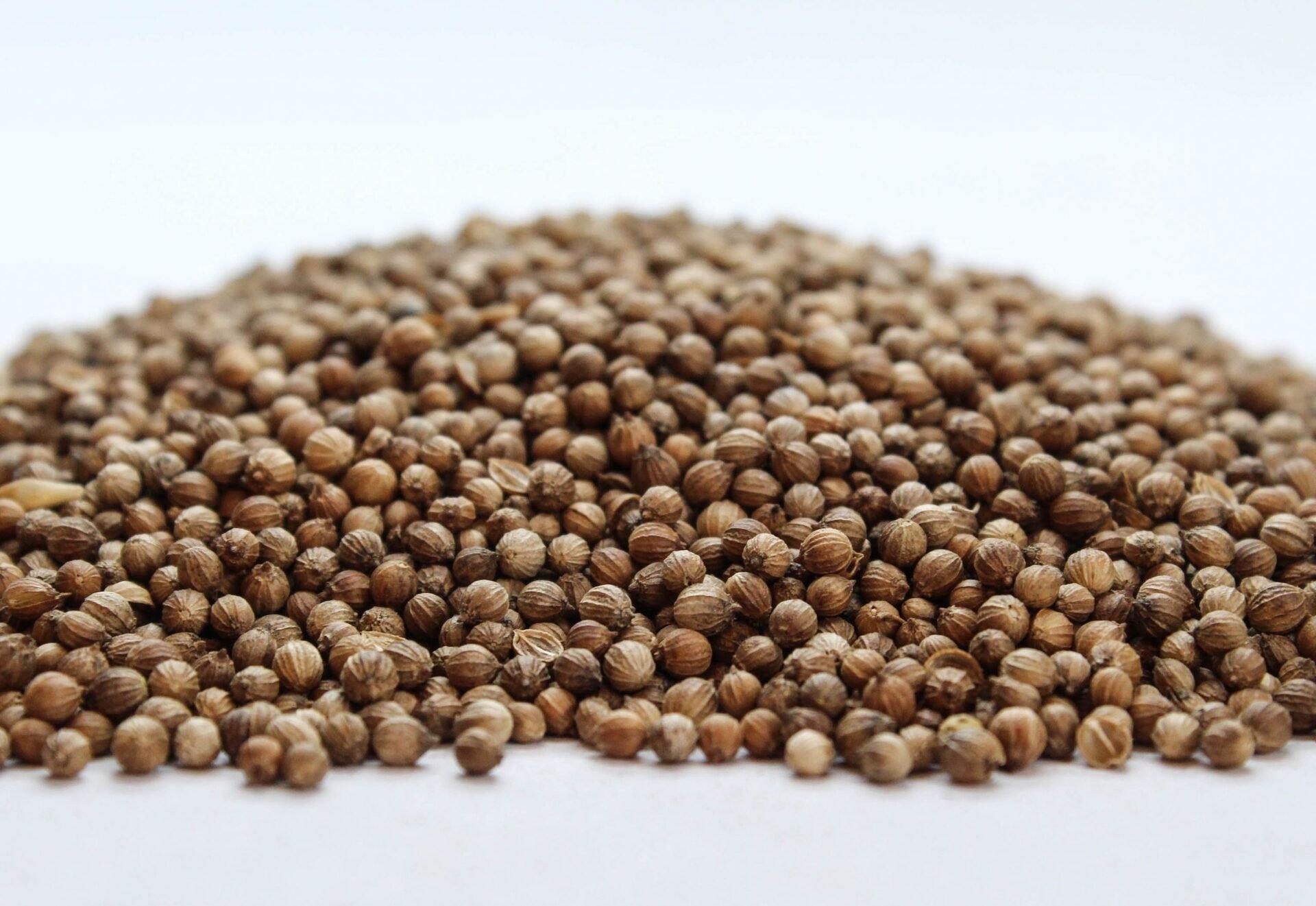 Кориандър (Coriandrum sativum) семе