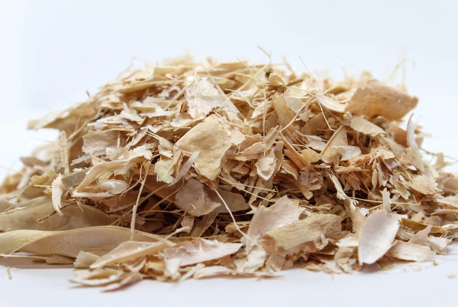 Бобови шушулки (Phaseolus vulgaris)