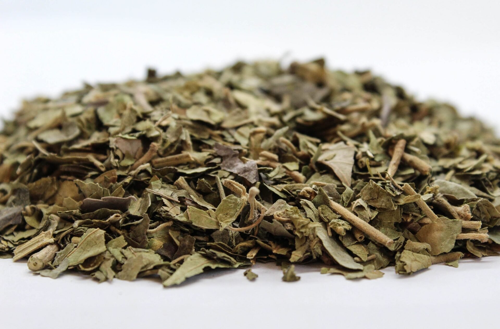 Гимнема (Gymnema sylvestre) стрък