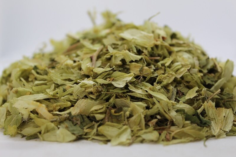 Хмел (Humulus lupulus) шишарки