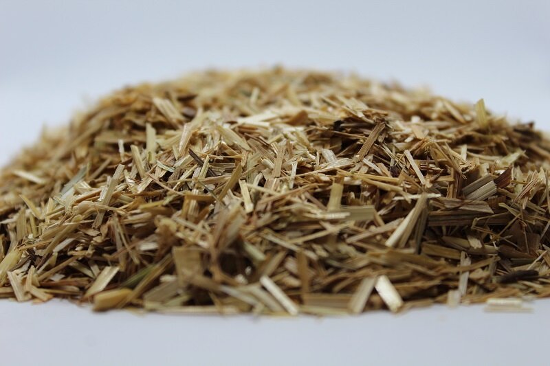 Див овес (Avena Sativa L.) стрък