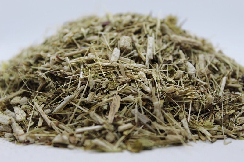 Ехинацея (Echinacea purpurea) стрък