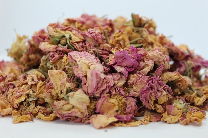 Роза (Rosa damascena) цвят