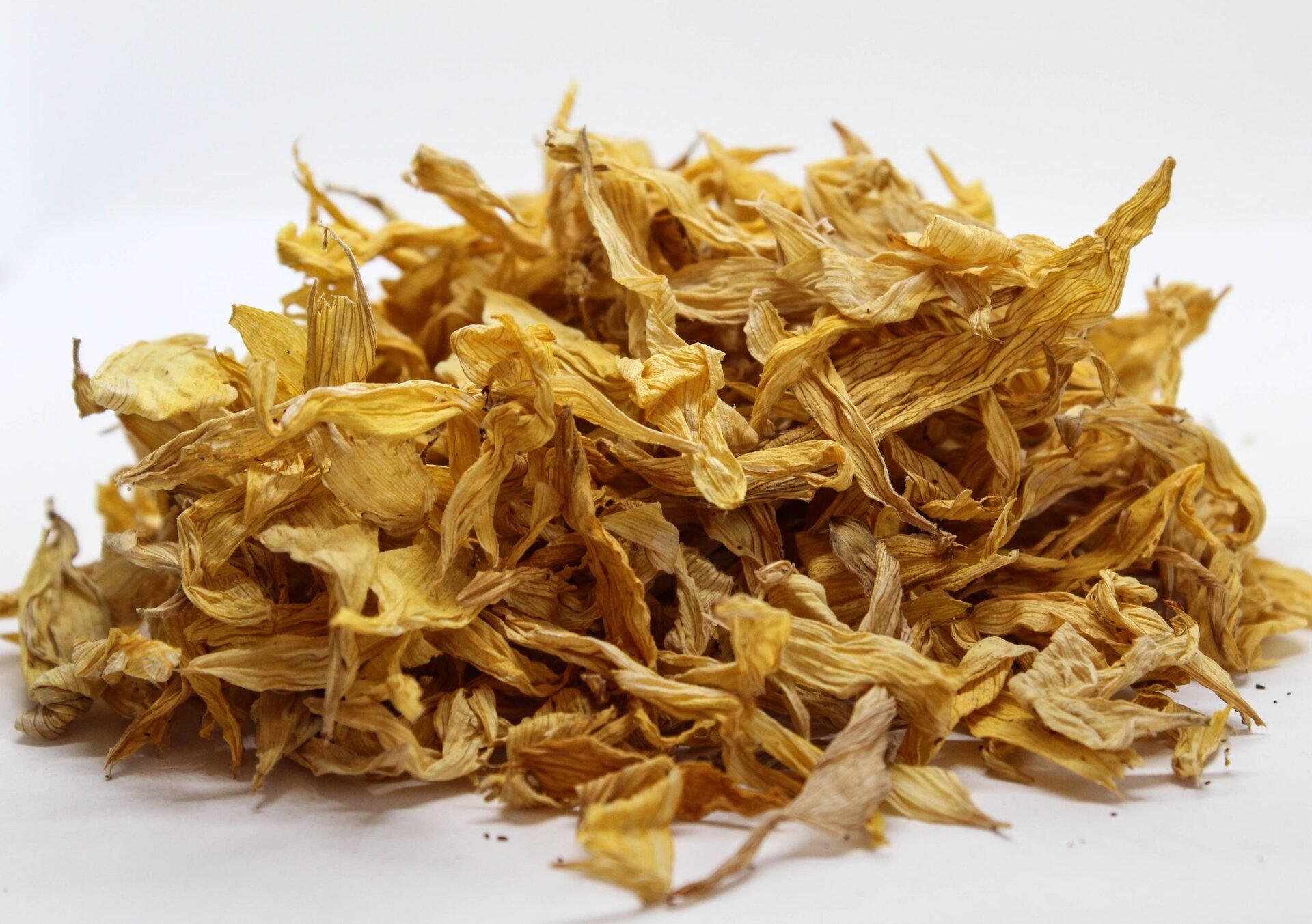 Слънчоглед (Helianthus annuus) цвят