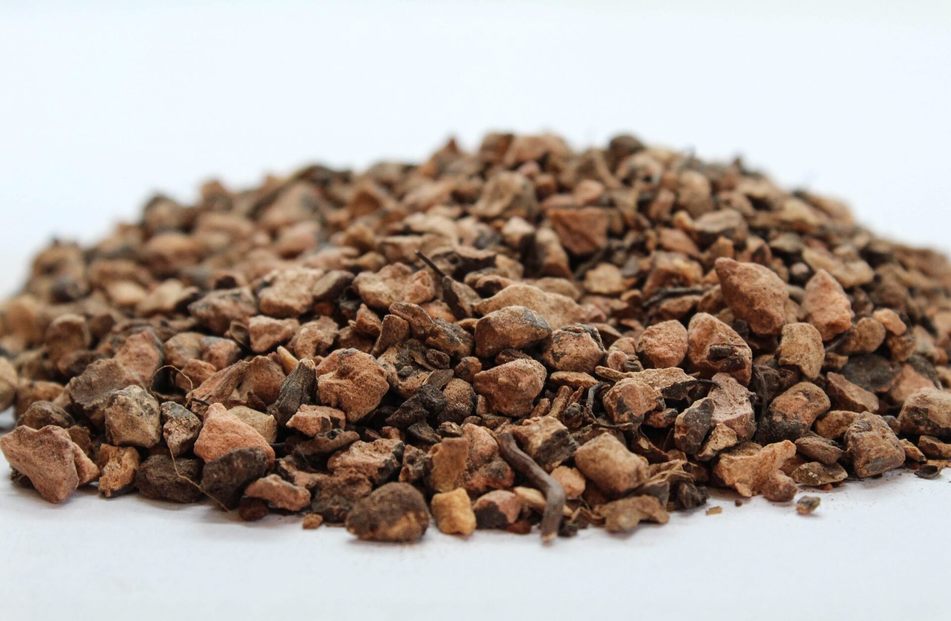 Кървавиче (Polygonum bistorta) корен