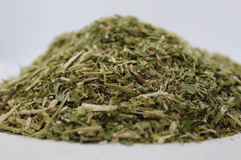 Златна пръчица, жълт енчец (Solidago virga) стрък