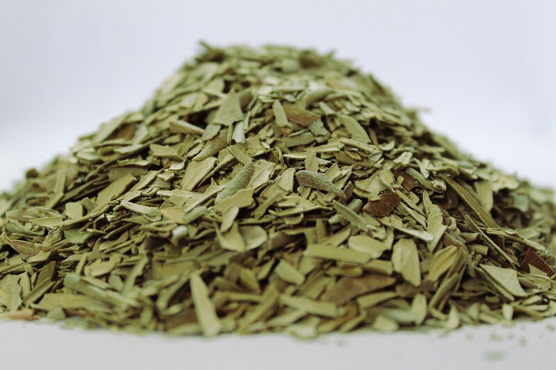 Маслина (Olea europaea) листа