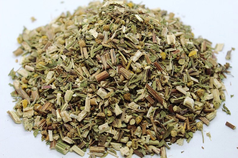 Калоферче (Tanacetum Balsamita) стрък