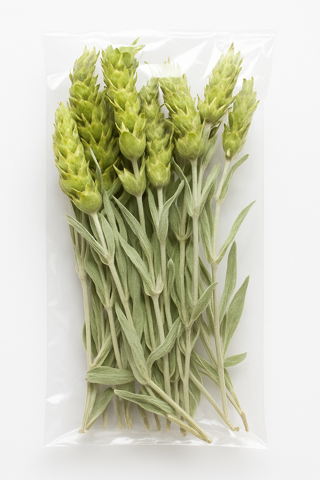 Мурсалски чай (Sideritis scardica)БИО стрък – цял 50 гр.