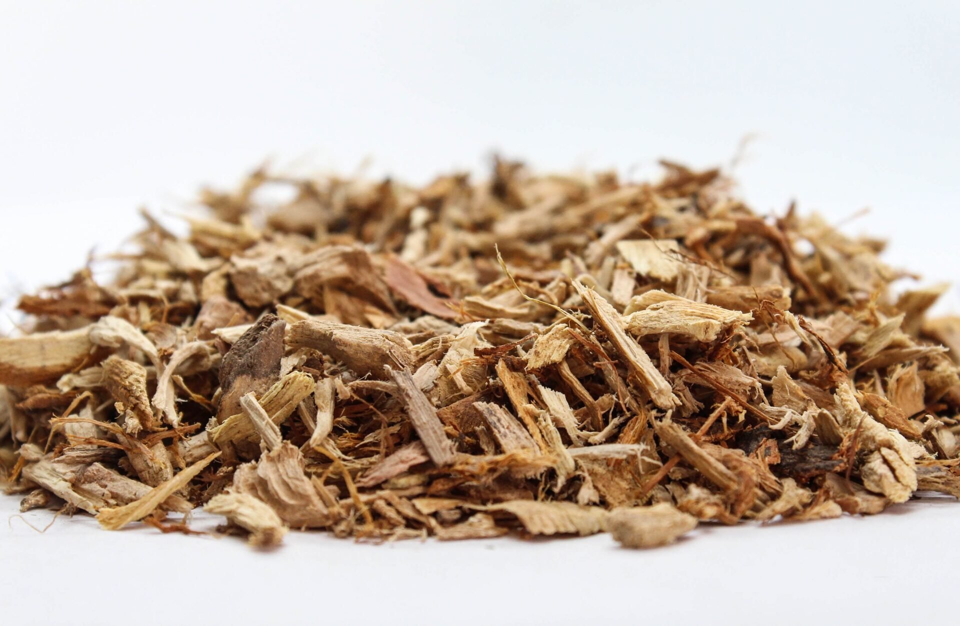 Шипка (Rosa canina) корен