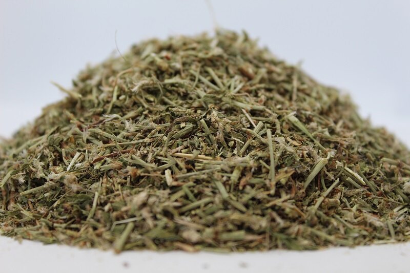 Пача трева (Poligonum aviculare) стрък