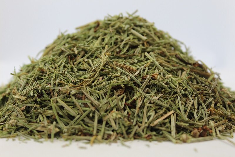 Полски хвощ (Equisetum arvense) стрък