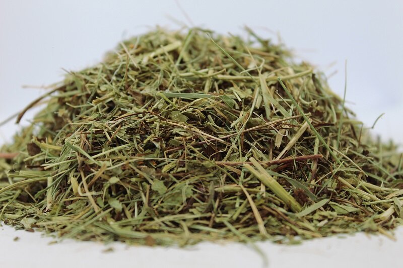 Цариче, Шапиче (Alchemilla vulgaris) стрък