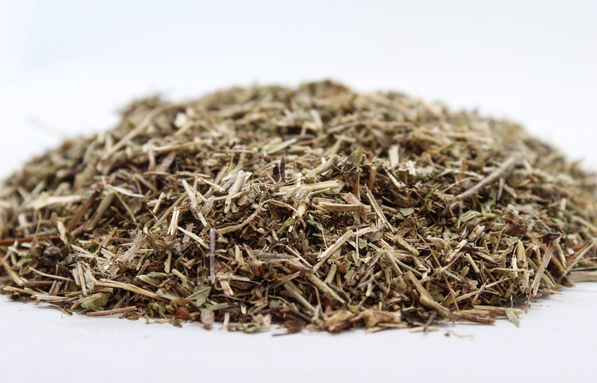 Червено подъбиче (Teucrium chamaedrys) стрък